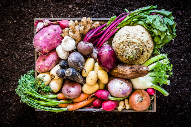 3 Vegetables a Gastroenterologist Swears By for Liver Health